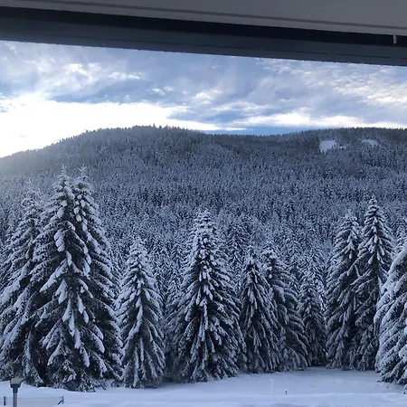 Premium In Area * Bad Kleinkirchheim