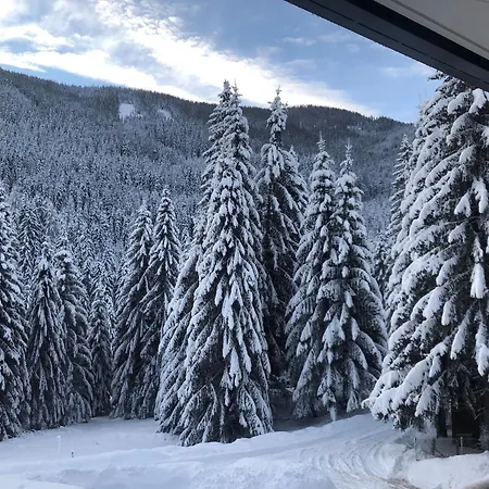 Premium In Area Bad Kleinkirchheim